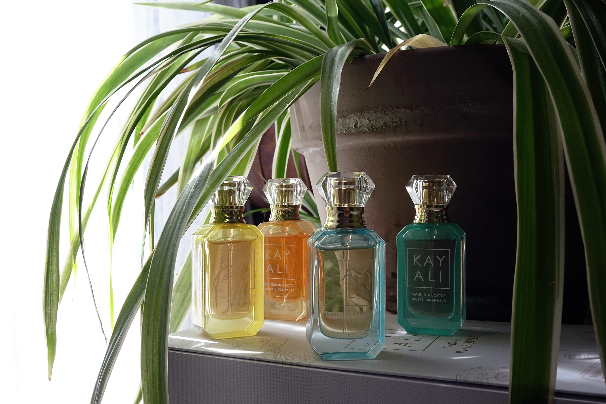 Les parfums d'été de Kayali