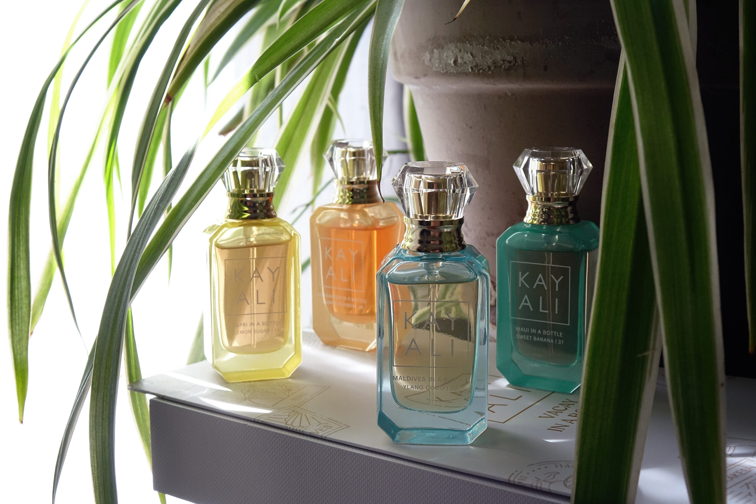 Les parfums d'été de Kayali