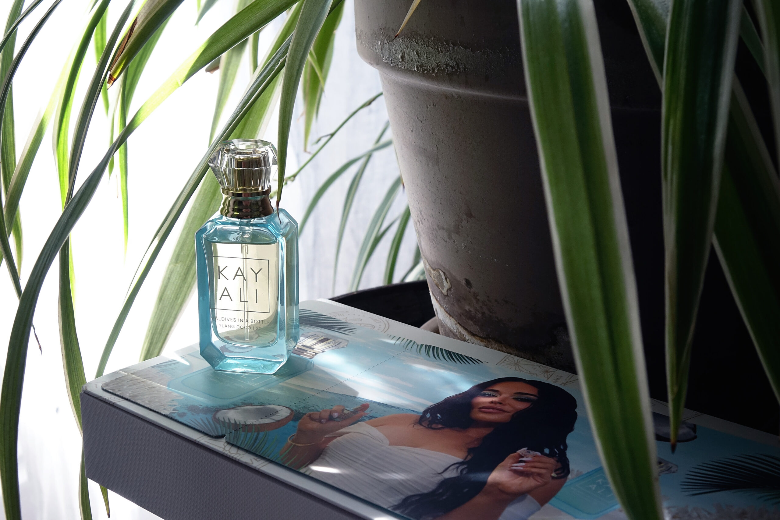 Les parfums d'été de Kayali