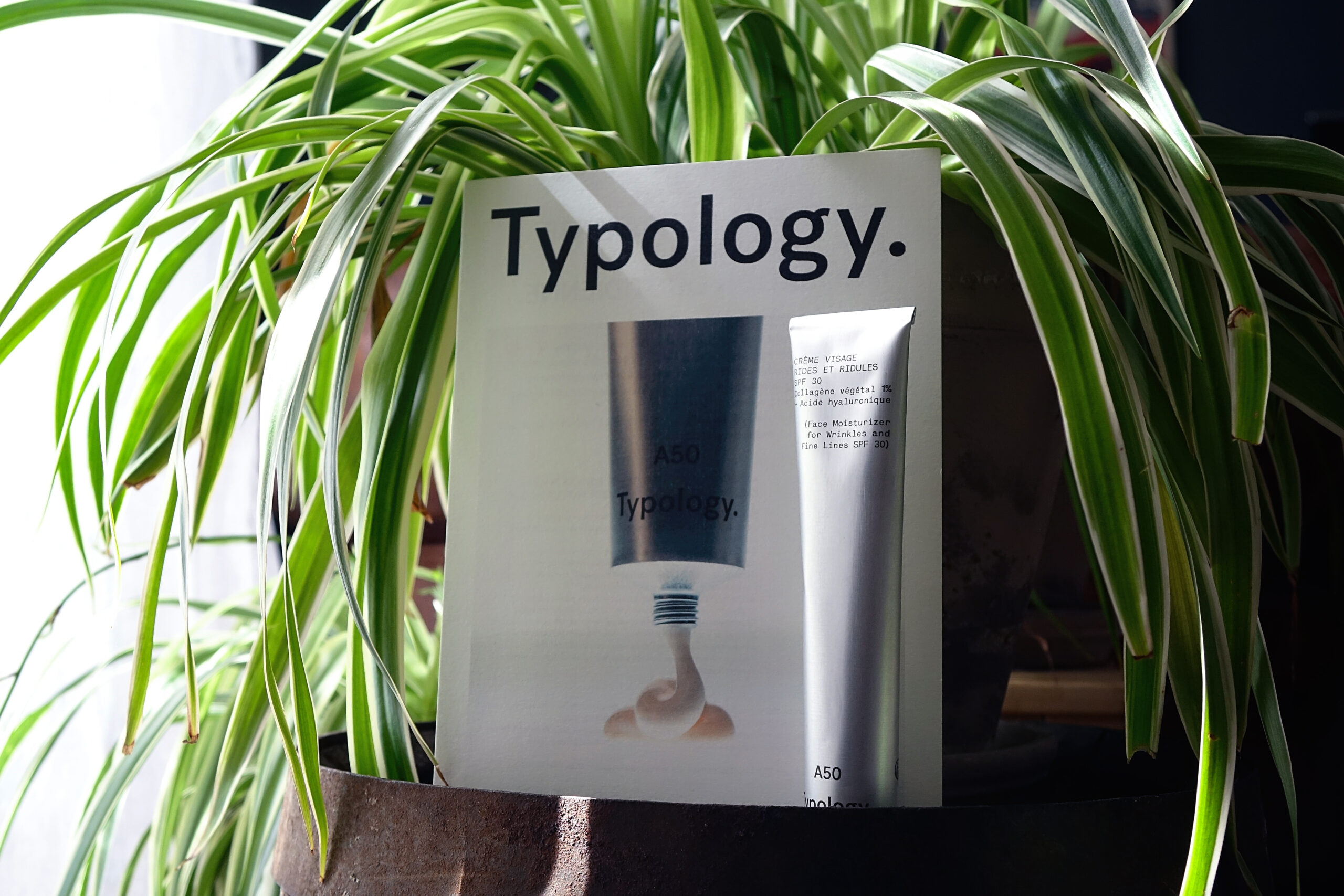 La crème typology anti rides