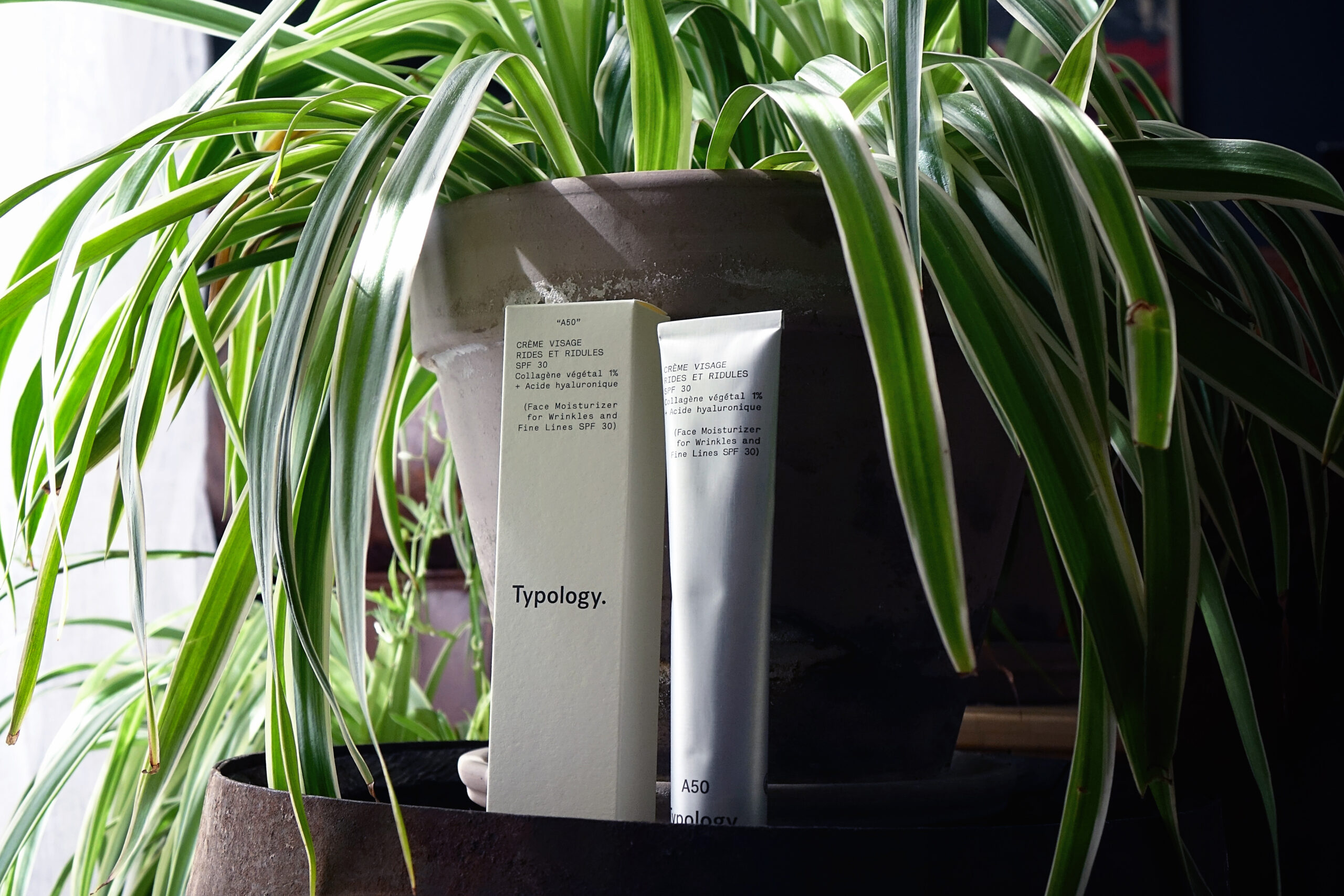 La crème typology anti rides