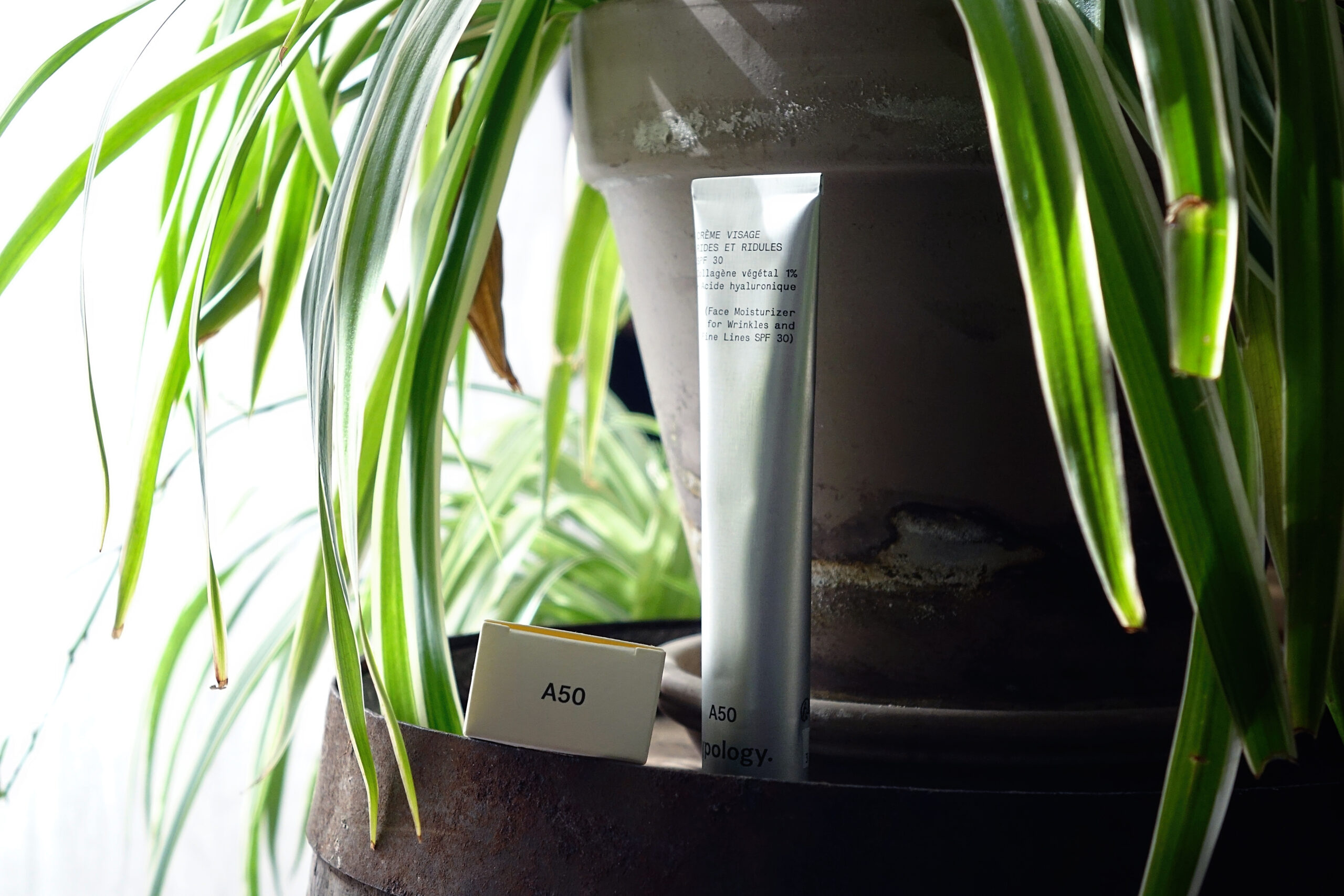 La crème typology anti rides