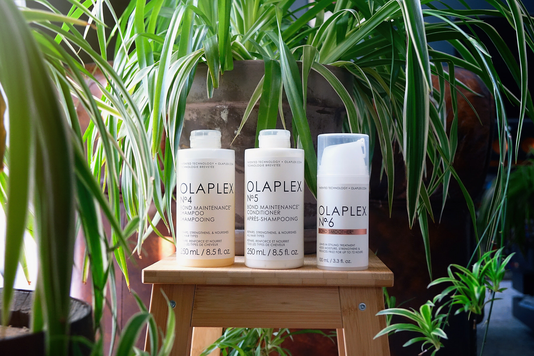 Olaplex, gamme de shampoings