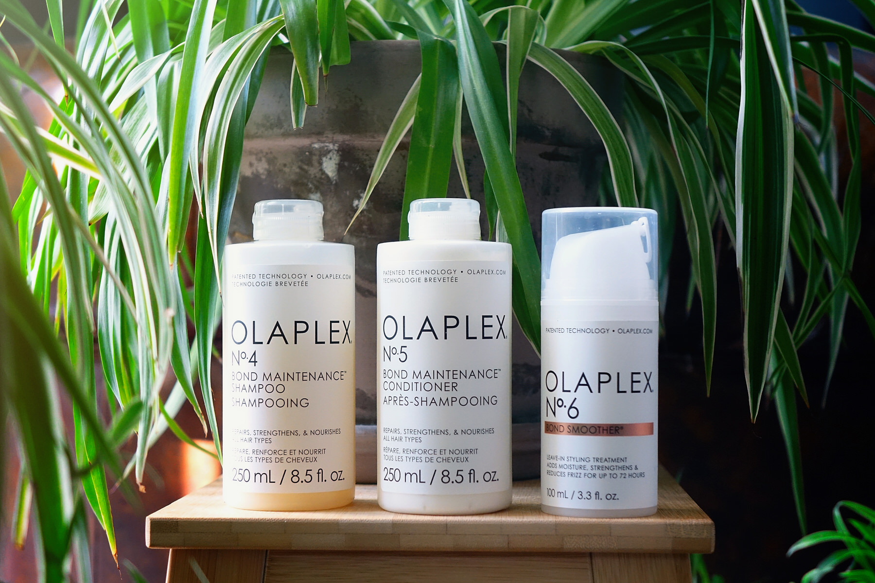 Olaplex, gamme de shampoings