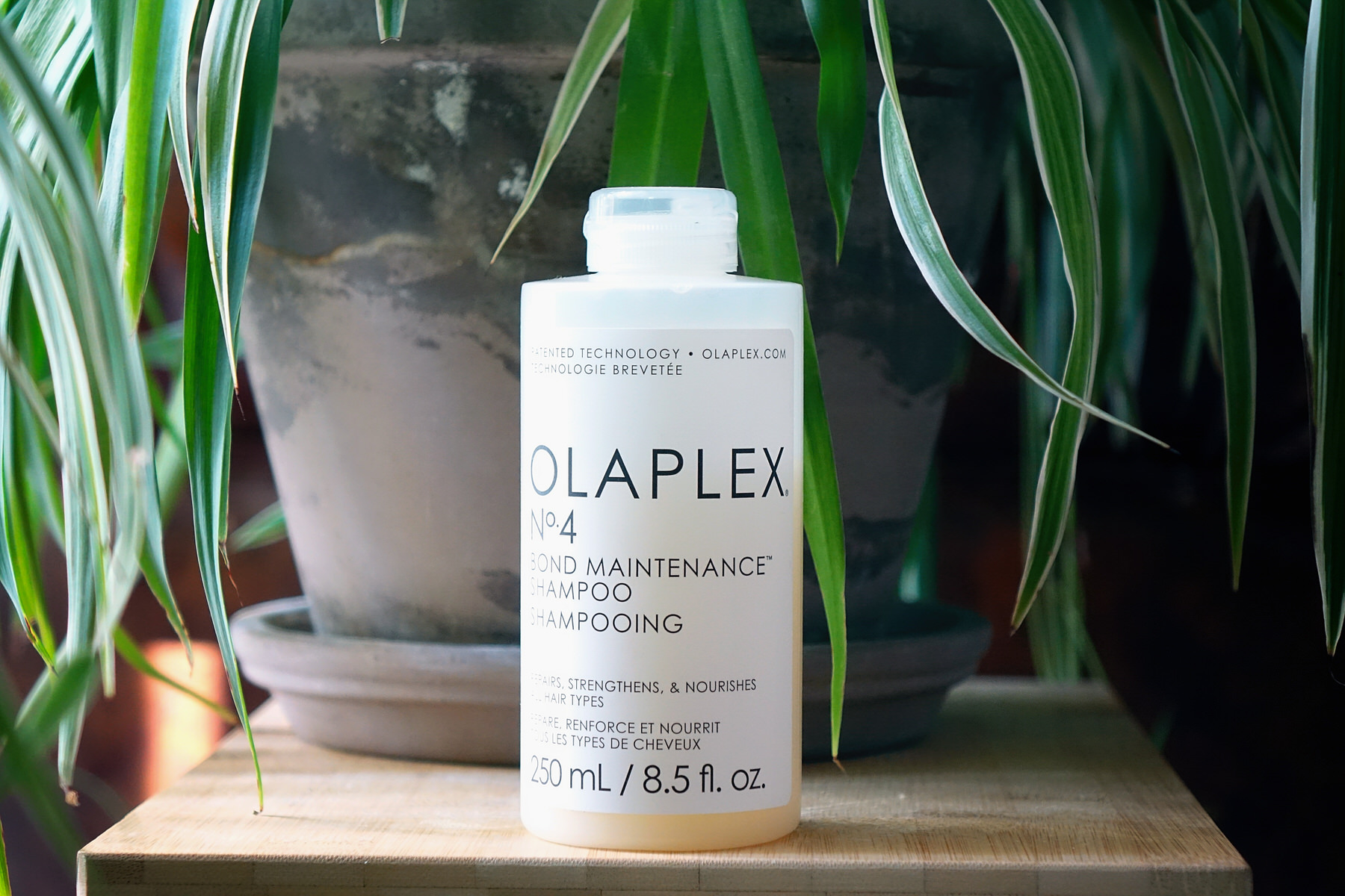 Olaplex, gamme de shampoings