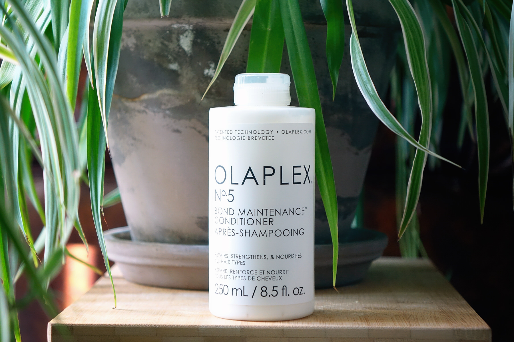 Olaplex, gamme de shampoings