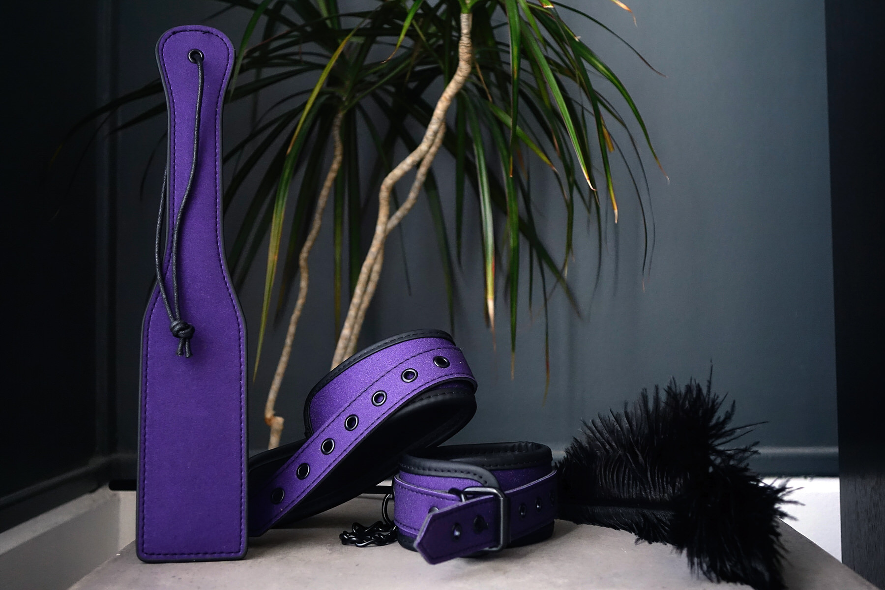 coffret passage du désir soft bondage